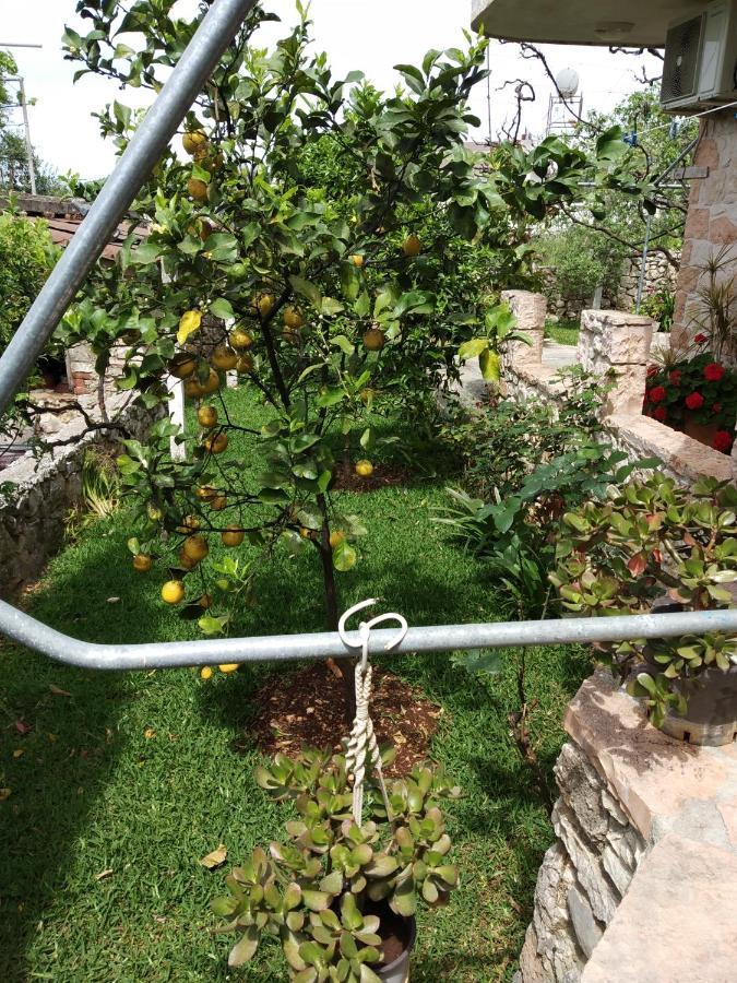 Apartament Altin Skrapari